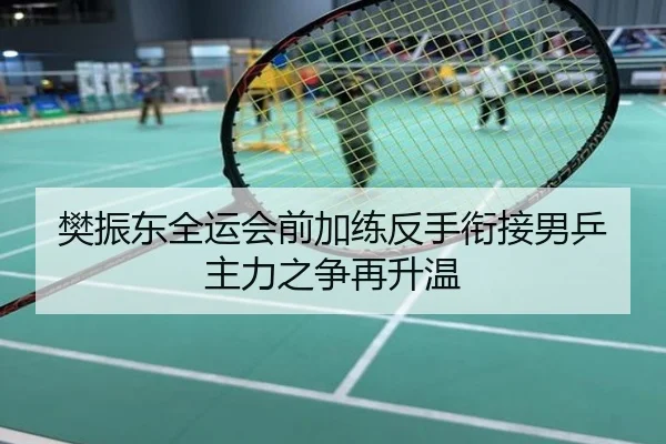 樊振东全运会前加练反手衔接男乒主力之争再升温
